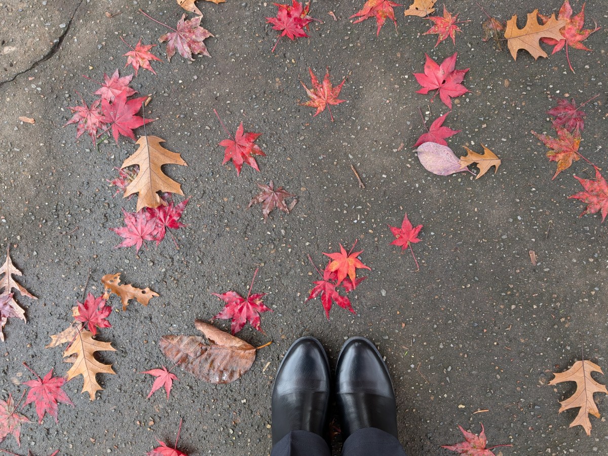 Talking to Strangers