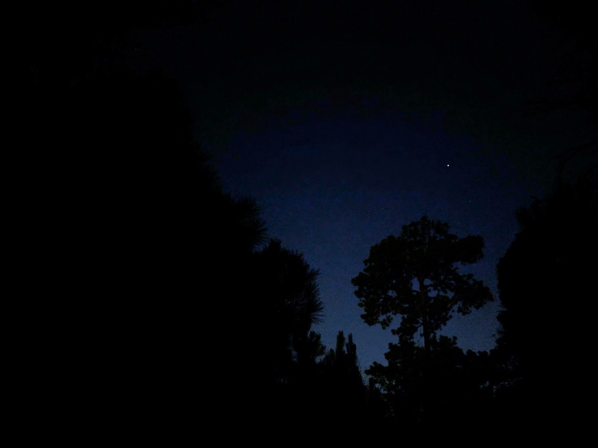 Night Calls